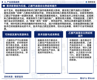 2024-2030年中國乙醇汽油行業發展現狀調查及市場分析預測